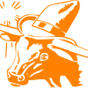 sunlogo100